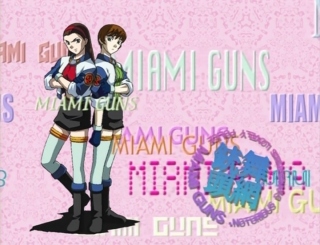 thumbs_miami_guns_07.jpg